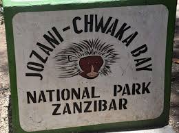 Jozani Forest Thumb 3